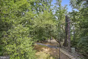 5901 Mt Eagle Dr, Alexandria, VA 22303 - Photo 8