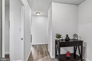 3800 Powell Ln, Falls Church, VA 22041 - Photo 6