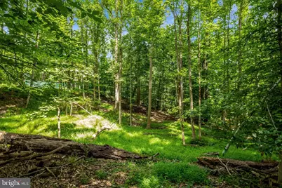 9185 Old Dominion Drive, McLean, VA 22102 - Photo 2