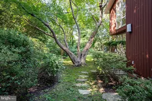7407 Recard Ln, Alexandria, VA 22307 - Photo 62
