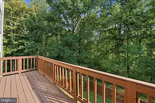 8108 Clifforest Dr, Springfield, VA 22153 - Photo 26