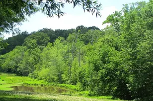14840 Lynhodge Ct, Centreville, VA 20120 - Photo 40