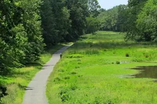 14840 Lynhodge Ct, Centreville, VA 20120 - Photo 42