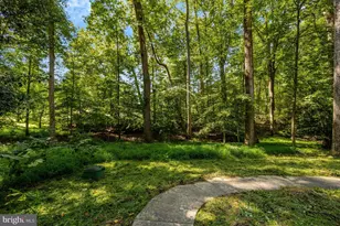 9982 Blackberry Ln, Great Falls, VA 22066 - Photo 52