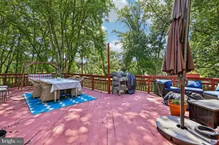 1360 Snow Meadow Ln, McLean, VA 22102 - Photo 50
