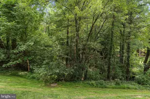 3725 Madison Ln, Falls Church, VA 22041 - Photo 18