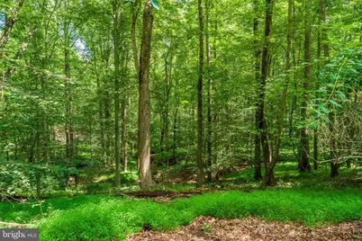 10898 Woodleaf Lane, Great Falls, VA 22066 - Photo 64