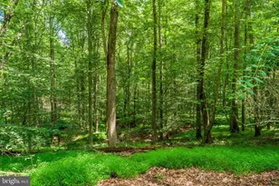 10898 Woodleaf Ln, Great Falls, VA 22066 - Photo 64