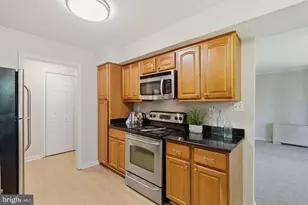 3334 Spring Ln, Falls Church, VA 22041 - Photo 4