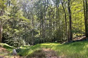 9203 Potomac Ridge Rd, Great Falls, VA 22066 - Photo 1