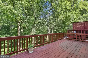5420 Chieftain Cir, Alexandria, VA 22312 - Photo 44