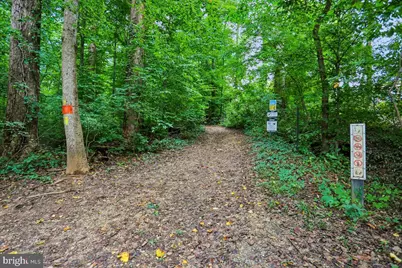 899 Linganore Drive, McLean, VA 22102 - Photo 68