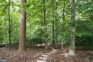 3418 Blair Rd, Falls Church, VA 22041 - Photo 70