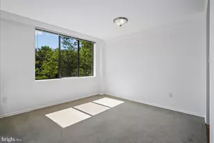 6631 Wakefield Dr, Alexandria, VA 22307 - Photo 12