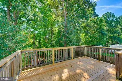 8467 Magic Tree Court, Springfield, VA 22153 - Photo 48