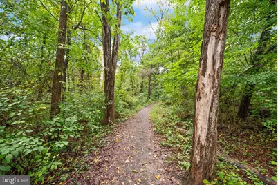 13770 Henry Pond, Chantilly, VA 20151 - Photo 46