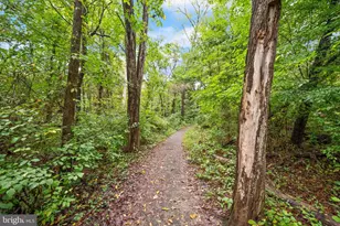 13770 Henry Pond, Chantilly, VA 20151 - Photo 46