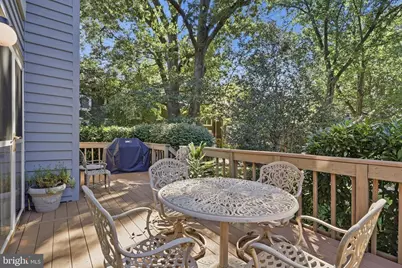 11411 Orchard Green Court, Reston, VA 20190 - Photo 32