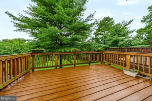 4624 Flatlick Branch Dr, Chantilly, VA 20151 - Photo 10