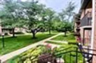3330 Spring Ln, Falls Church, VA 22041 - Photo 4