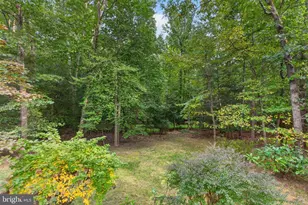 11411 Running Cedar Rd, Reston, VA 20191 - Photo 12