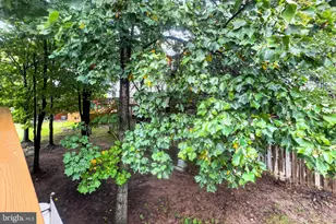 14020 Gill Brook Ln, Centreville, VA 20121 - Photo 50