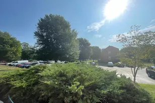 6511 10th St, Alexandria, VA 22307 - Photo 24