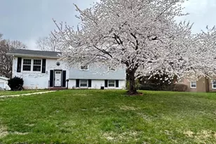 6717 Anthony St, Alexandria, VA 22306 - Photo 4