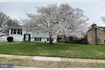 6717 Anthony Street, Alexandria, VA 22306 - Photo 6