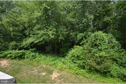 7705 Wiley Creek Way, Alexandria, VA 22315 - Photo 24