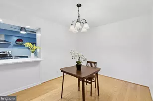 5902 Mt Eagle Dr, Alexandria, VA 22303 - Photo 8
