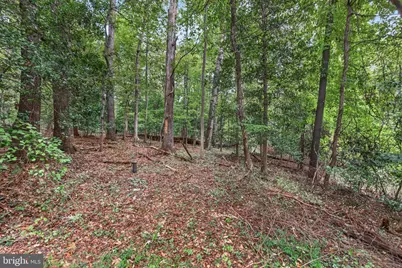 10708 Meadowood Drive, Vienna, VA 22181 - Photo 6