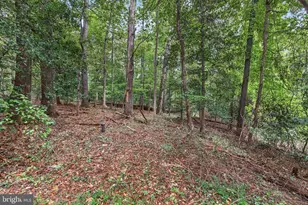 10708 Meadowood Dr, Vienna, VA 22181 - Photo 6