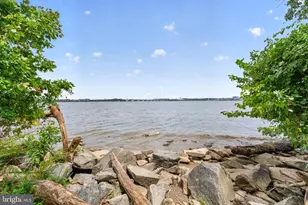 6010 Bangor Dr, Alexandria, VA 22303 - Photo 34