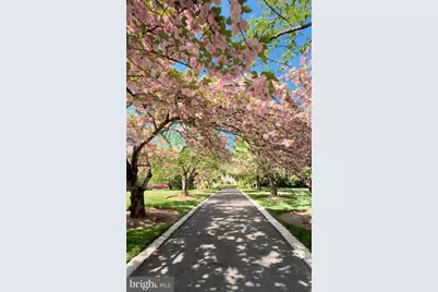 1288 Ballantrae Farm Drive, McLean, VA 22101 - Photo 2