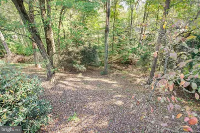 2505 Leeds Road, Oakton, VA 22124 - Photo 42