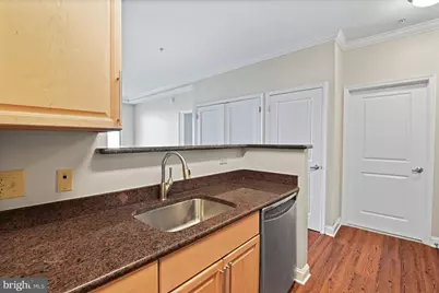 11770 Sunrise Valley Drive #317, Reston, VA 20191 - Photo 10