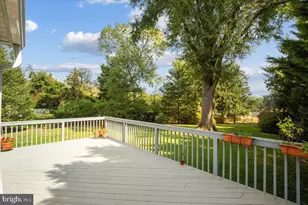 1433 Layman St, McLean, VA 22101 - Photo 8