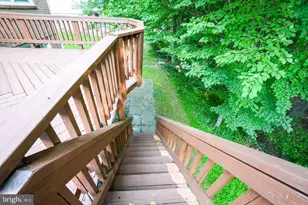 7212 Hadlow Dr, Springfield, VA 22152 - Photo 44