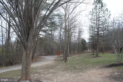 7503 Ashby Lane, Alexandria, VA 22315 - Photo 46