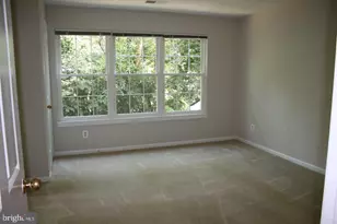 7503 Ashby Ln, Alexandria, VA 22315 - Photo 30