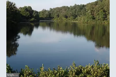 307 Larkspur, Ruckersville, VA 22968 - Photo 70