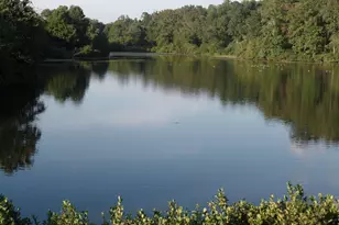 307 Larkspur, Ruckersville, VA 22968 - Photo 70