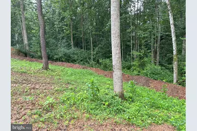 307 Larkspur, Ruckersville, VA 22968 - Photo 58