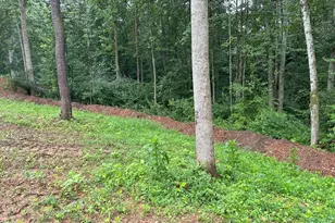 307 Larkspur, Ruckersville, VA 22968 - Photo 58