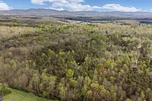 79 E Cedar Dr, Ruckersville, VA 22968 - Photo 58