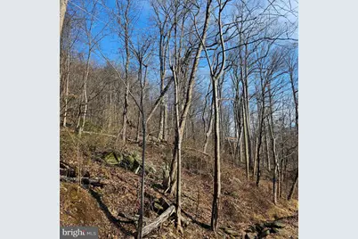 2245 Red Bird Drive, Stanardsville, VA 22973 - Photo 6