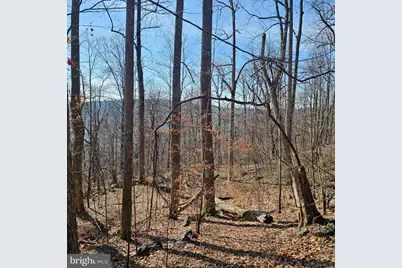 2245 Red Bird Drive, Stanardsville, VA 22973 - Photo 16