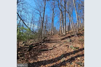 2245 Red Bird Drive, Stanardsville, VA 22973 - Photo 4