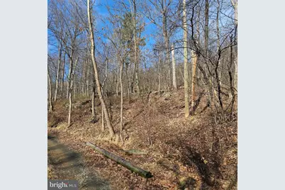 2245 Red Bird Drive, Stanardsville, VA 22973 - Photo 14